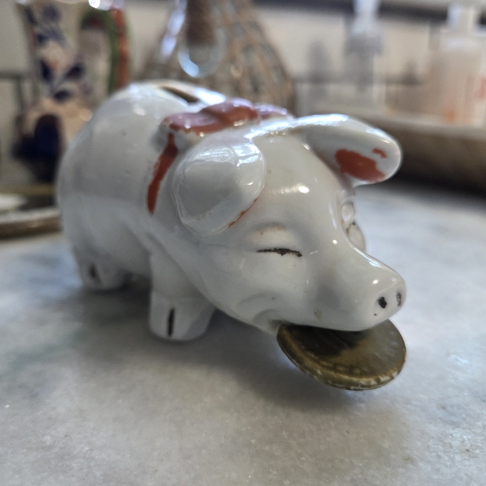 Ceramic Piggy Bank with Coin